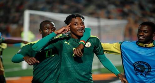 بصافرة مصرية.. جامبيا في مهمة دخول التاريخ لكسر هيمنة السنغال الإفريقية